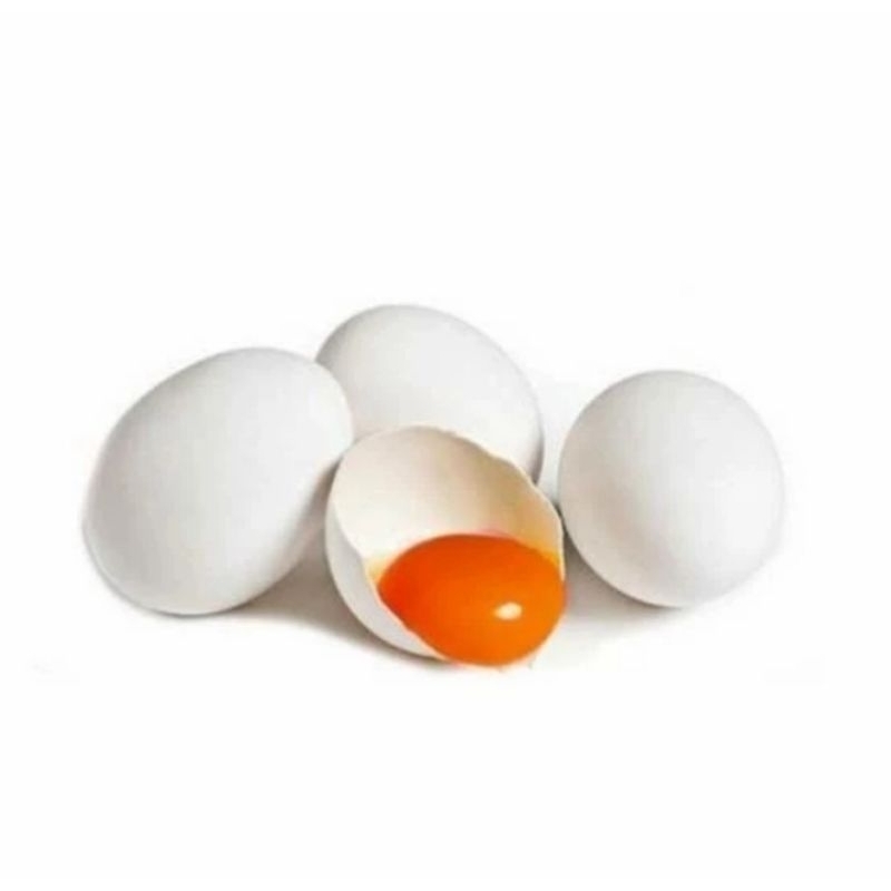 

Telur Ayam Kampung Omega