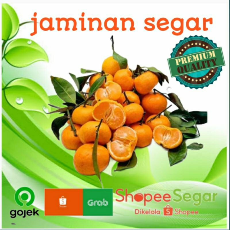 

JERUK SANTANG MADU 500g