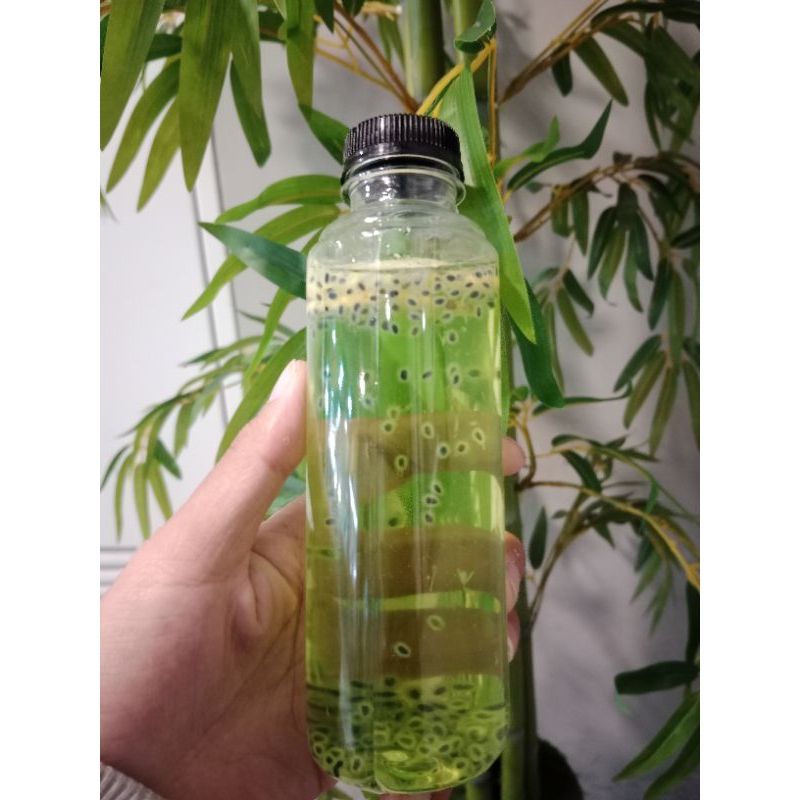

Green Mojito | Hampers Minuman | Beverages | Birthday Gift