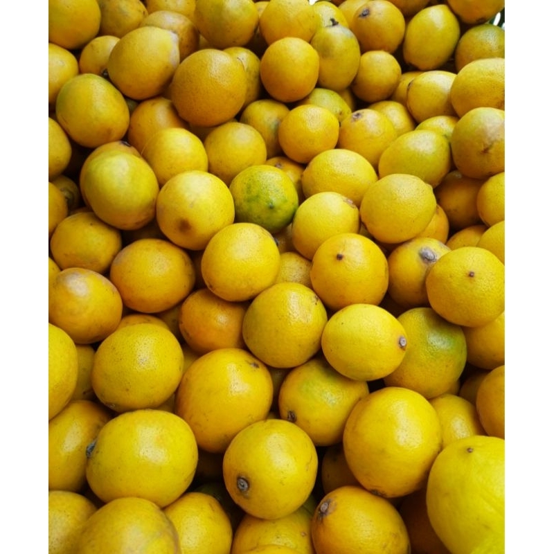 

lemon california grade random 2kg