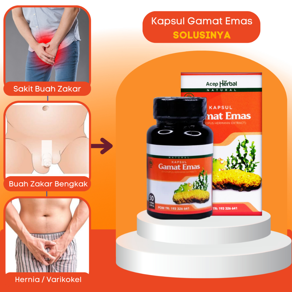 Obat Buah Zakar Bengkak - Buah Zakar Bengkak Sebelah Kanan / Kiri - Biji Testis Bengkak - Nyeri Buah