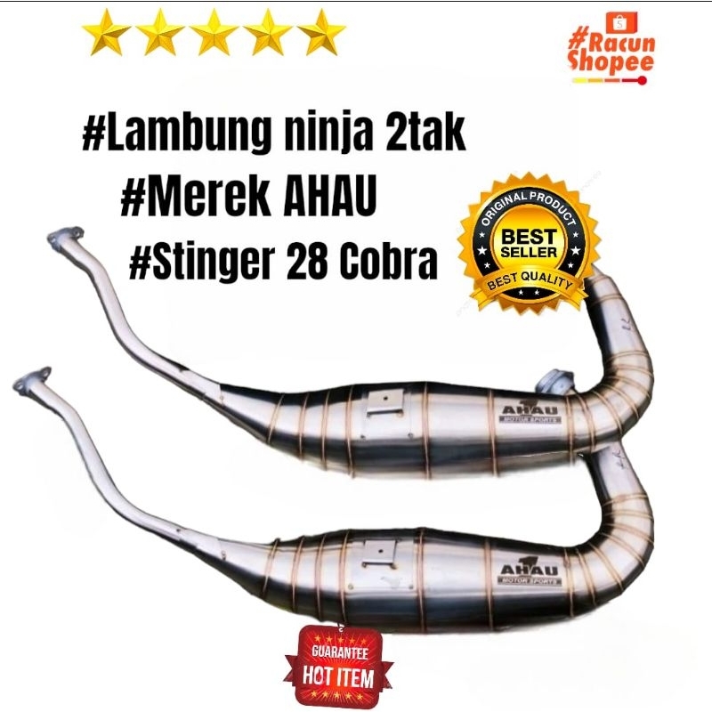 Lambung Ninja r dan rr Leter L Stinger 28 Bahan Steinles Merek Ahau1
