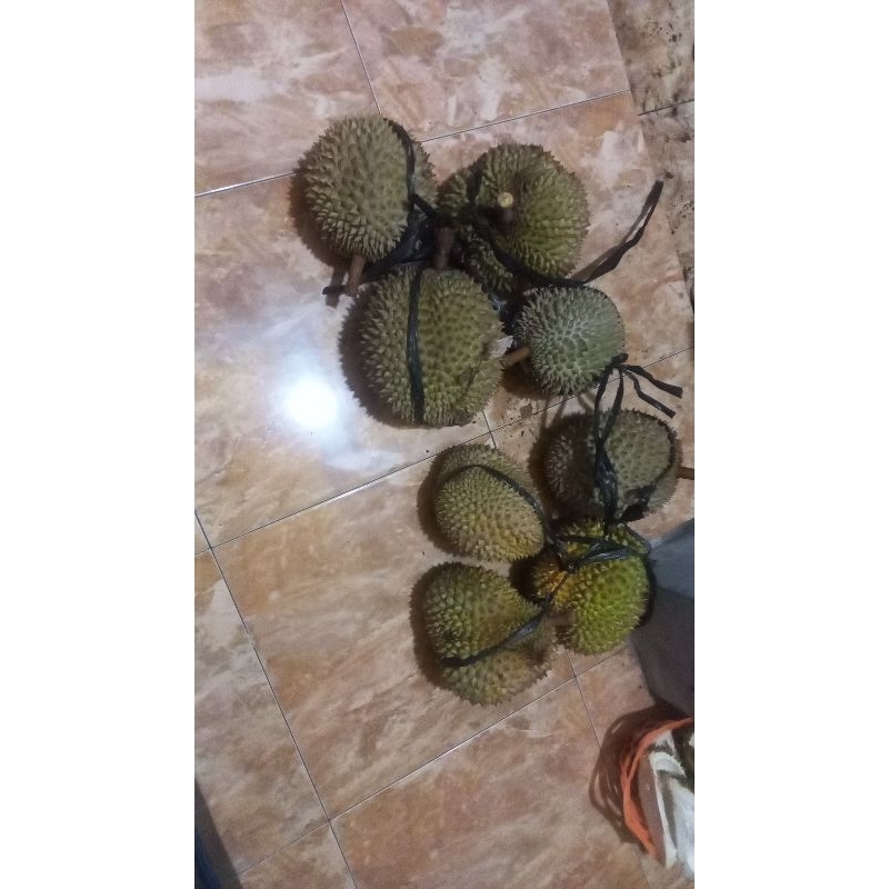 

Durian maniss