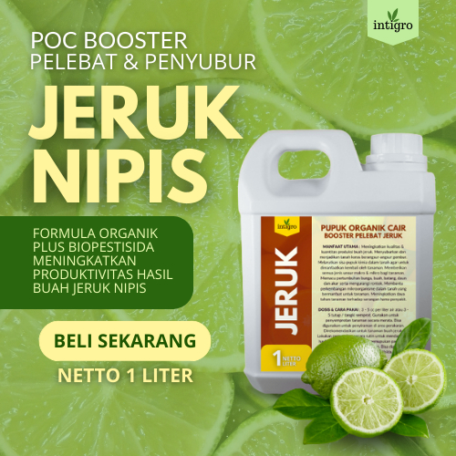 Pupuk Jeruk Nipis / Pupuk Buah Jeruk Nipis / Pupuk Cair Buah Pelebat Tanaman Buah Jeruk Nipis Pupuk 
