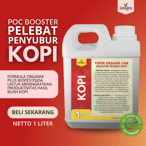 Pupuk Kopi Pelebat Buah / Pupuk Buah Kopi Lebat / Pupuk Booster Kopi / Pupuk Pelebat Buah Kopi / Pup