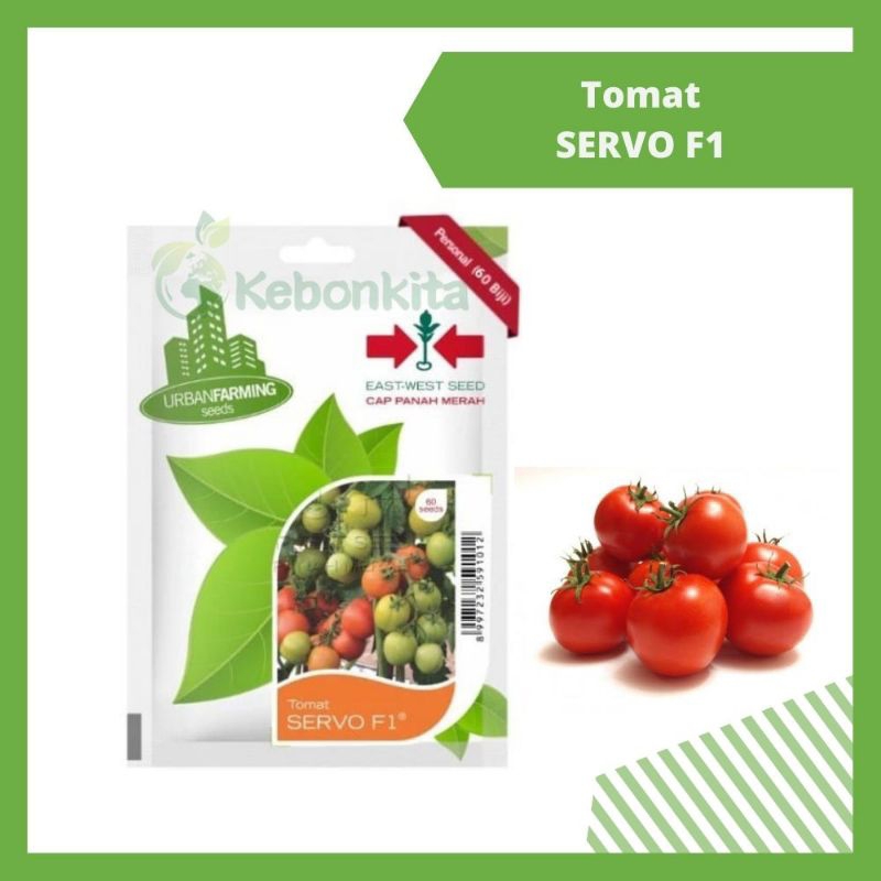 Benih Bibit Tomat Sayur Servo F1 - Cap Panah Merah