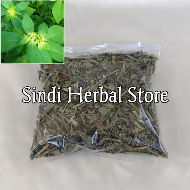 

Daun Sena Kering Patikan Mas Kering Isi 100 Gram Organik