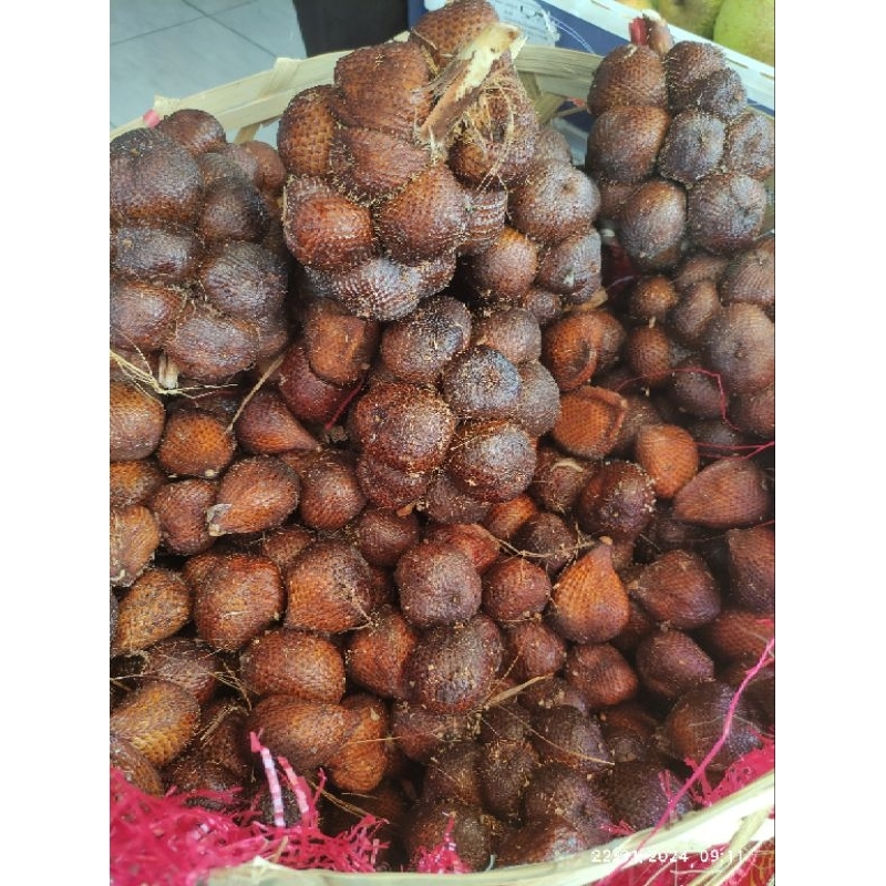 

Salak Gula Pasir