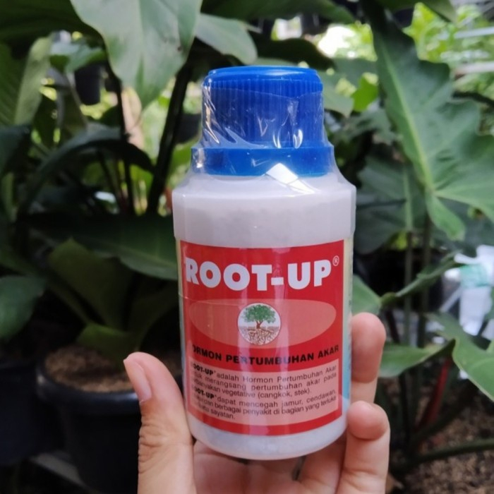 Penumbuh Akar / Root Up / Hormon Penumbuh akar