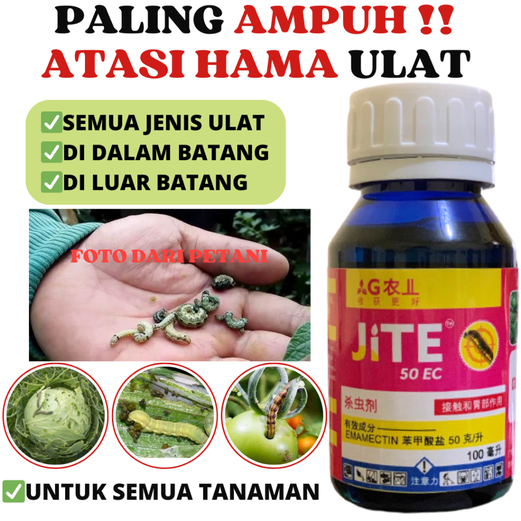 Insektisida Sistemik Racun Obat Pembasmi Hama Ulat Ulat Grayak Sundep JITE 100ML Pada Tanaman Cabe J