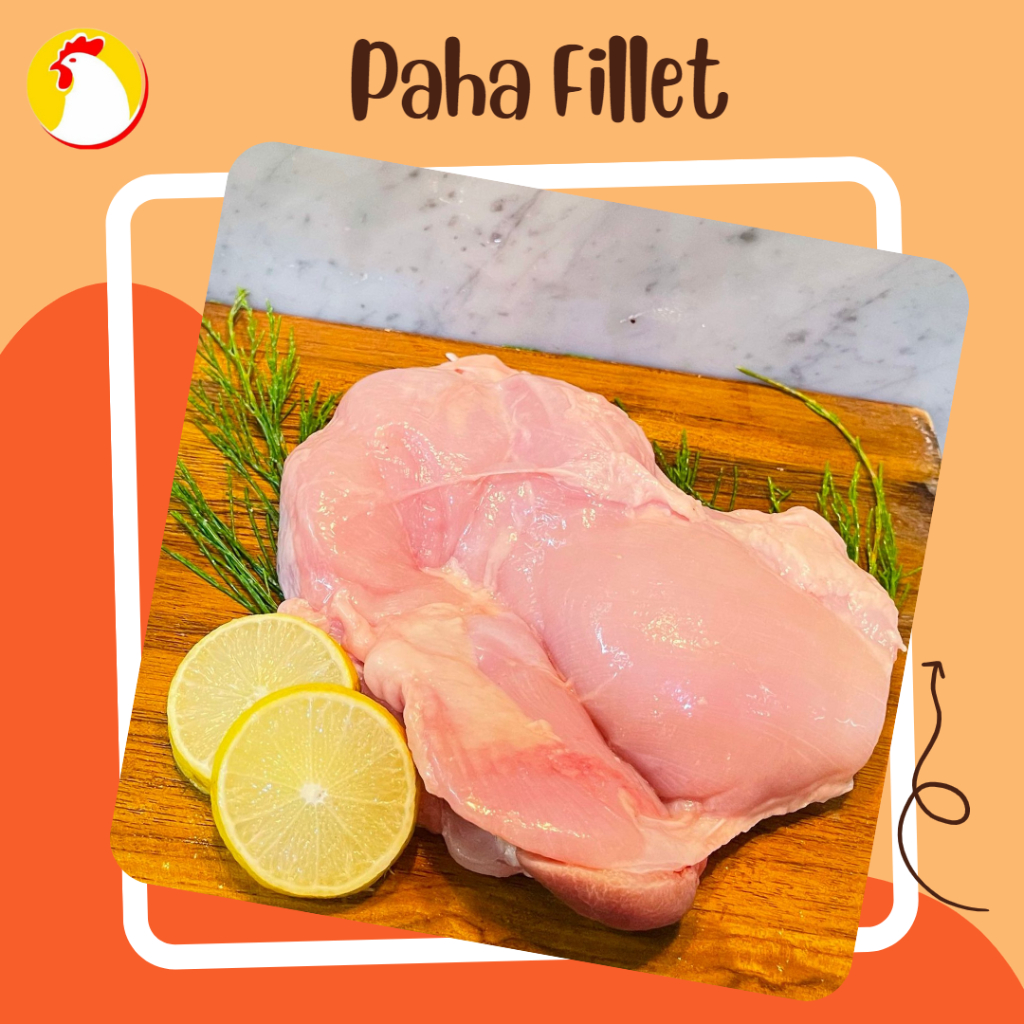 

Paha Fillet fresh Grosir