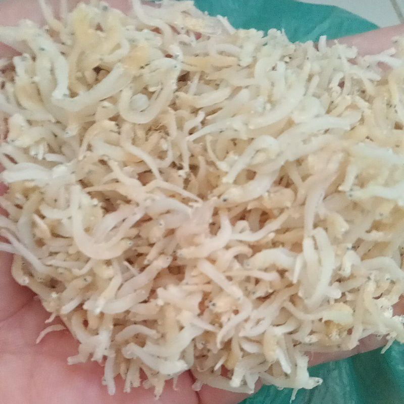 

Ikan Teri Nasi/Teri Medan
