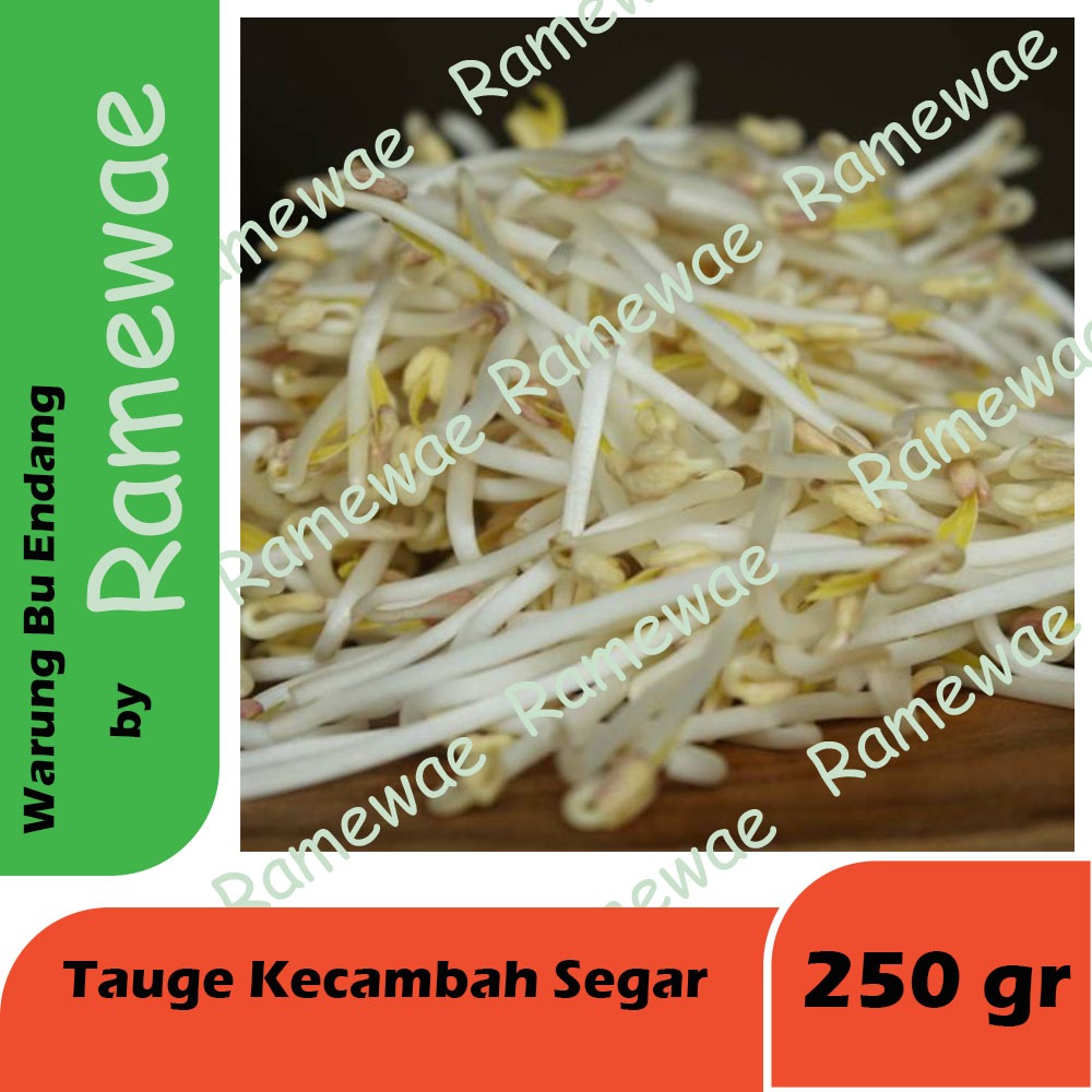 

Toge 250gr Tauge Segar Kecambah Fresh Vegetable Sayur Sayuran Bandung