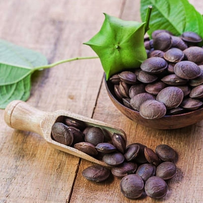 

kacang sacha inchi