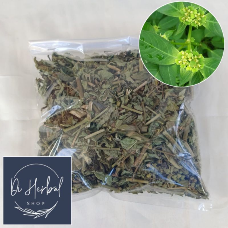 

Daun Patikan Mas Kering Isi Per 100 Gram Rempah Herbal Alami