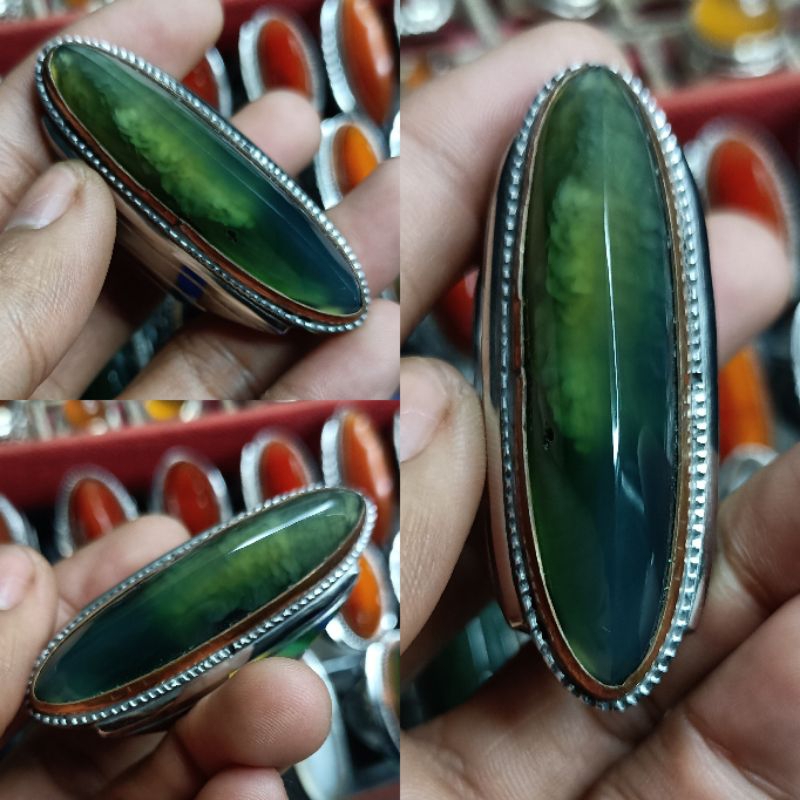 PANDAN LUMUT SISIK BETOK