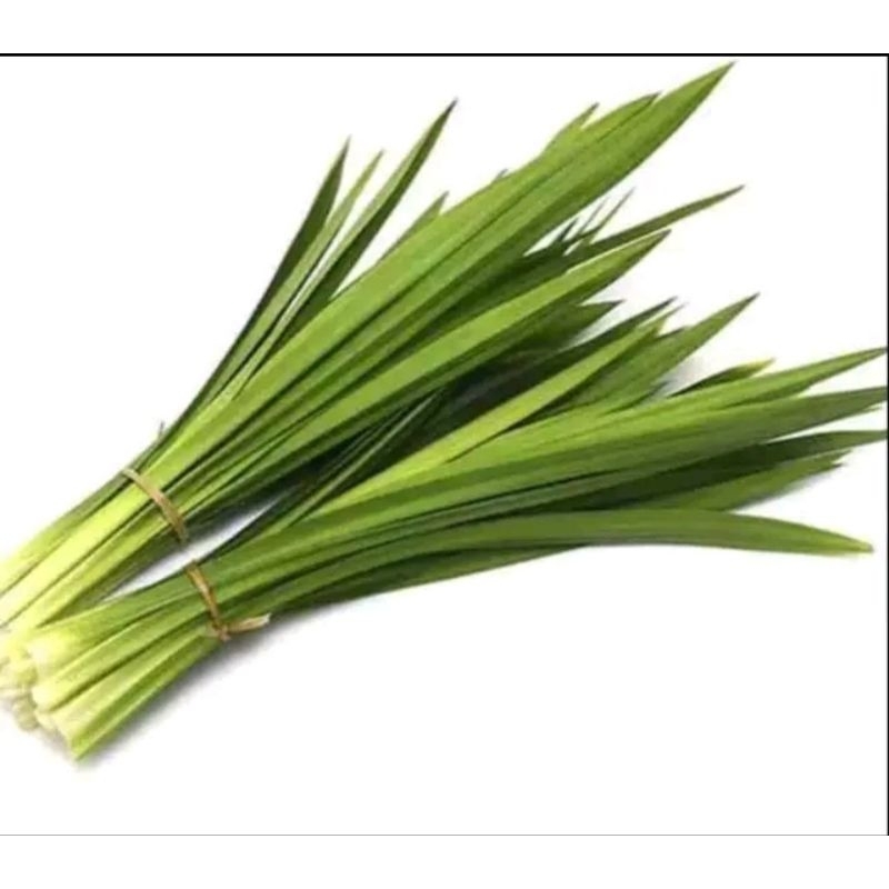

Daun Pandan