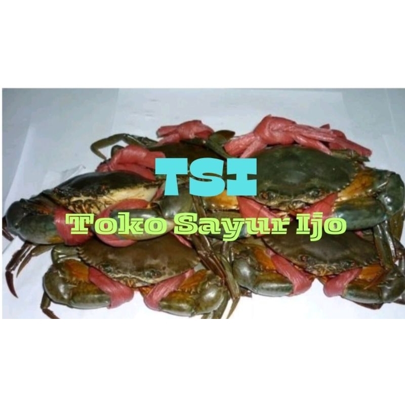 

Kepiting Segar per Kilo - Kirim Instan