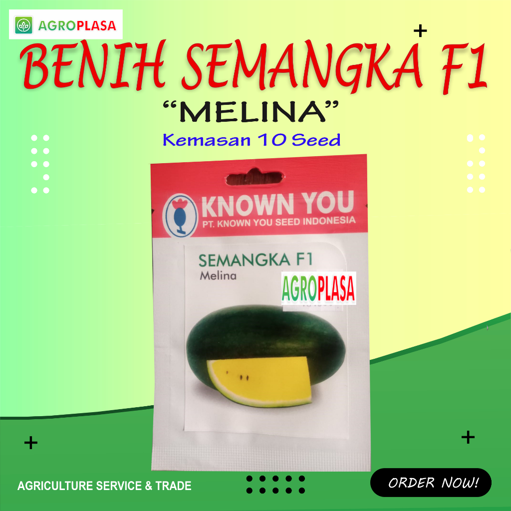 Benih Semangka MELINA F1 Known You Seed
