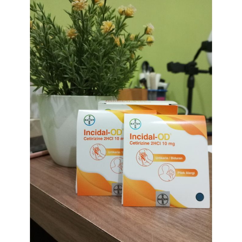 incidal-od 10mg strip 4 kapsul / obat alergi