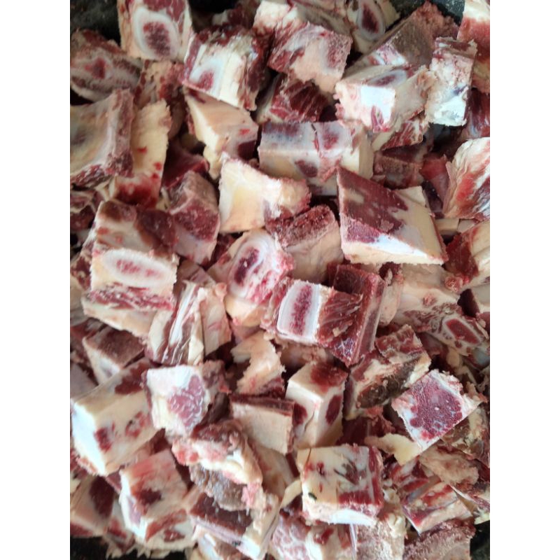 

Iga tulang muda