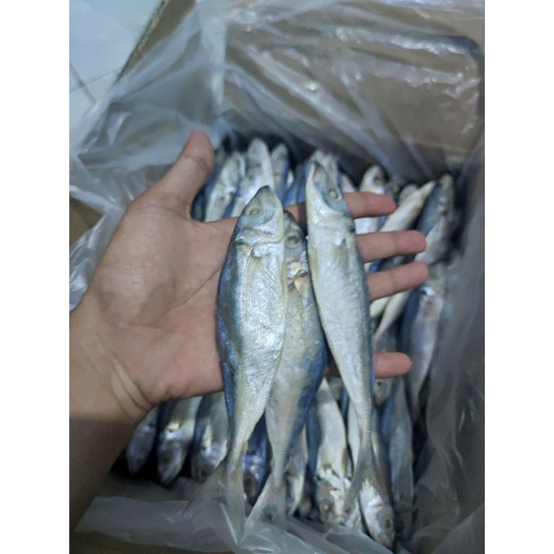 

IKAN ASIN PEDA LAYANG BESAR 250GR