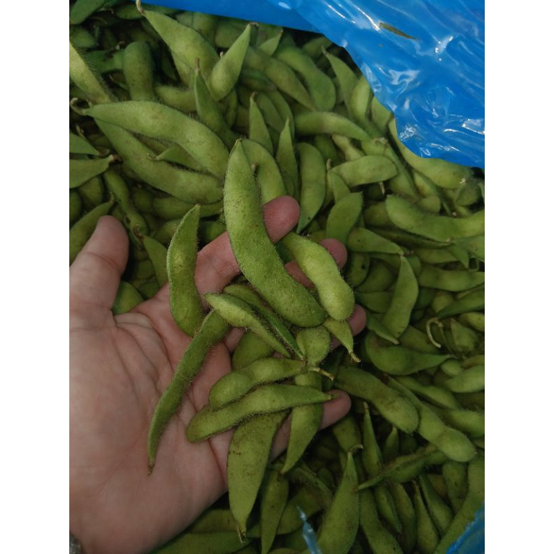 

Edamame fresh 1kg /kacang kedelai jepang fresh 1kg