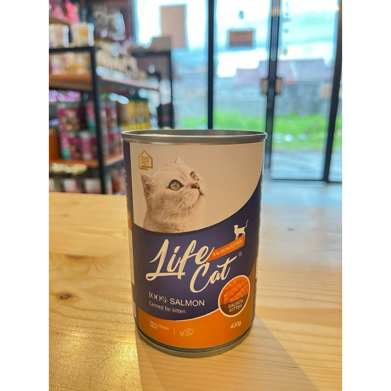Life Cat Salmon Kitten