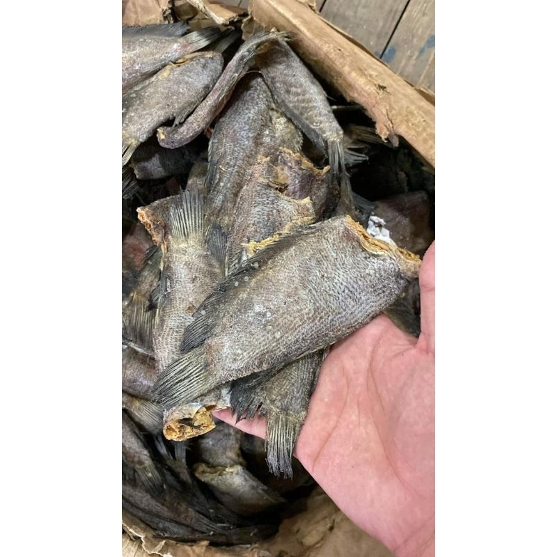 

sepat siam asin 500gr