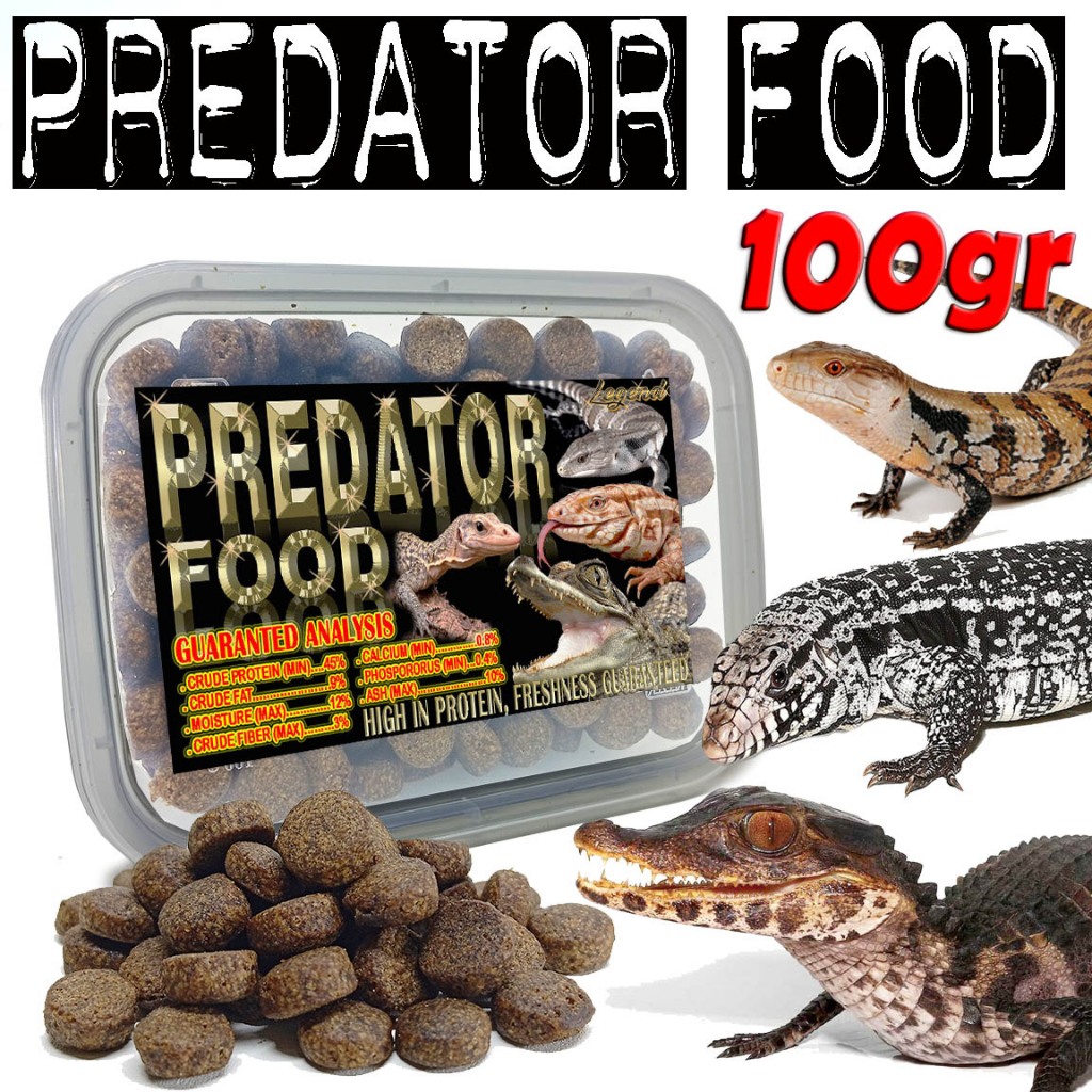 100GR PELET DIET PAKAN REPTILE PREDATOR FOOD BUAYA CAIMAN CROCODILE KURA AST CST TURTLE ALIGATOR TEG