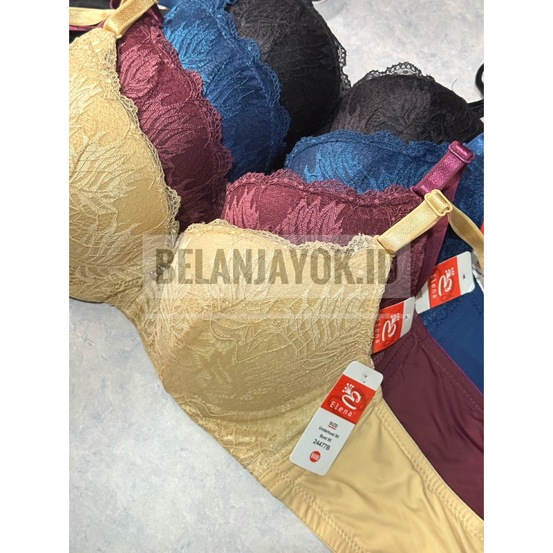 BH Elena 24477 Kawat Kait 3 Bra Elena BH Elena Basic Medium Cup Bra