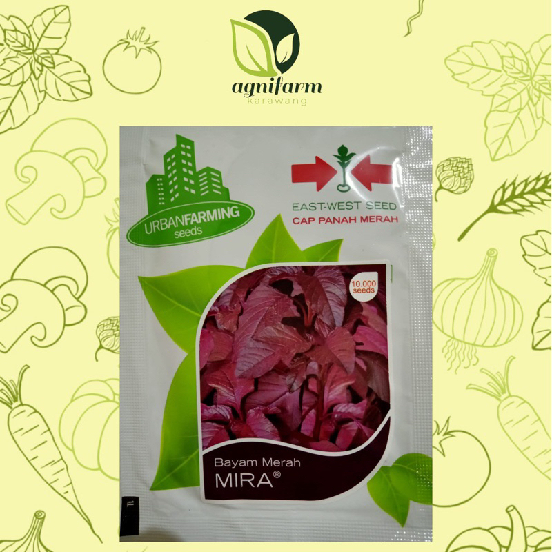 Benih Bibit Bayam Merah Mira - Cap Panah Merah