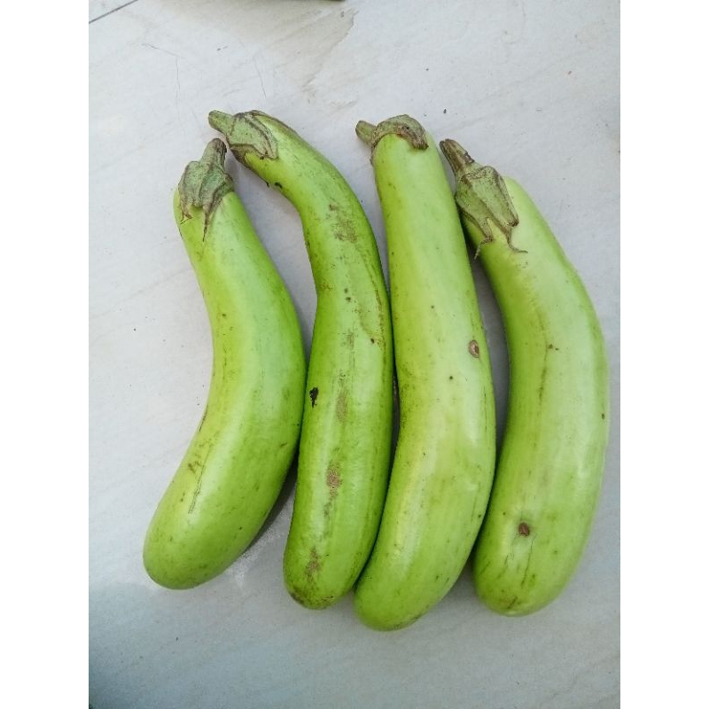 

terong ijo segar 500 gram 7000