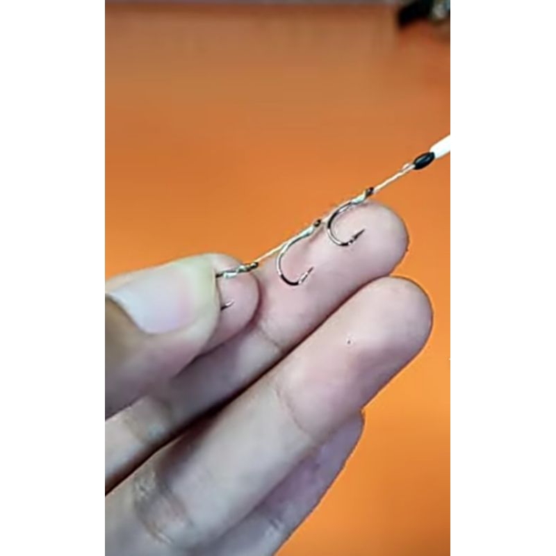 rangkaian lumut 3 kail anti moncel