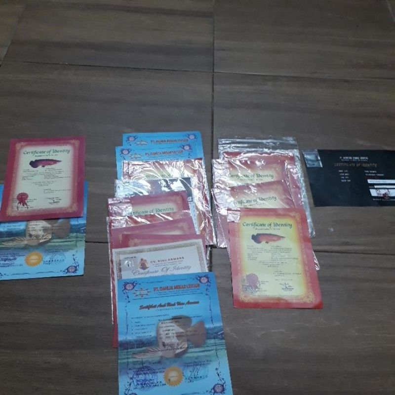 sertifikat arwana pino, banjar,golden&super red