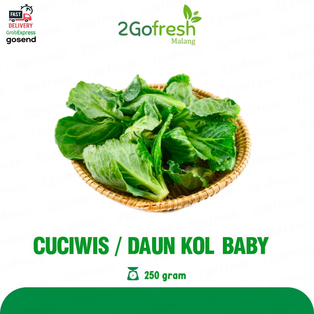 

Cuciwis / Daun Kol Baby Fresh - Sayur Sayuran