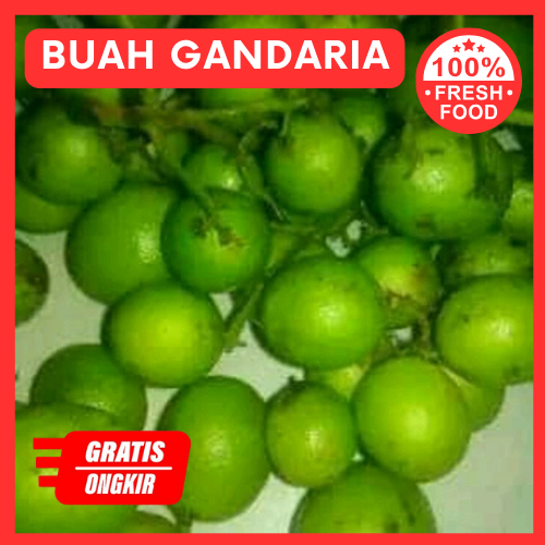 

Buah gandaria segar langka 500gram buah Jatake buah Kundang