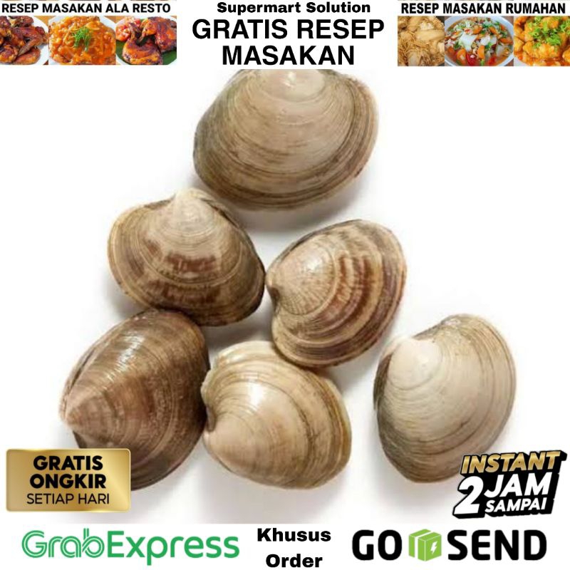 Kerang madu Segar Seafood