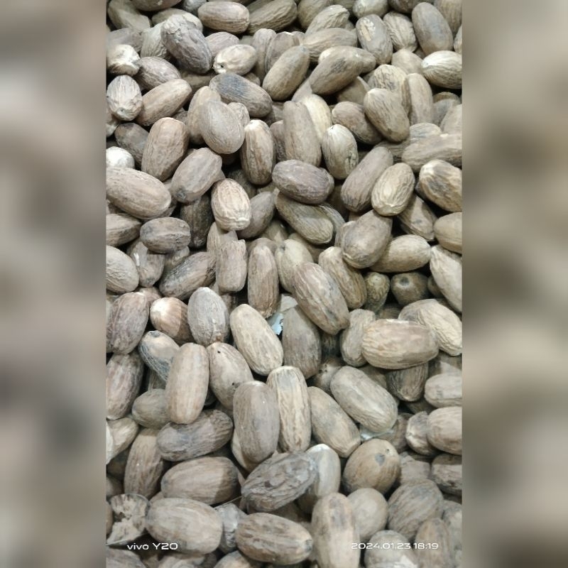 

biji pala kering kemasan 250grm rempah bumbu masak