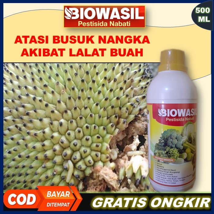 Murah BIOWASIL Pestisida Nabati 500 Ml Paling Ampuh Pupuk Pengendali Hama Lalat Buah Nangka – Obat B