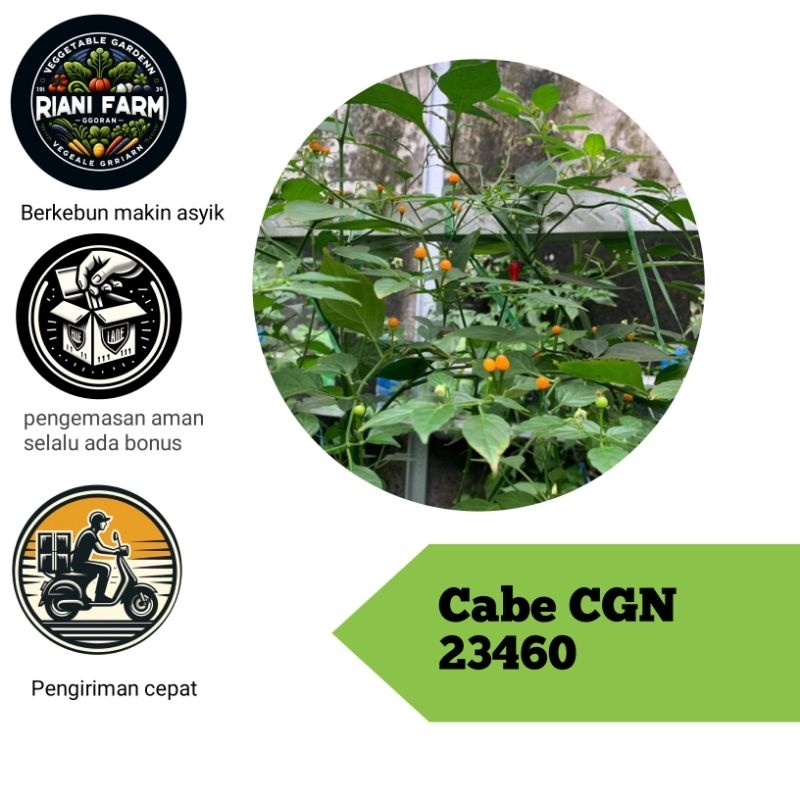 

Cabe CGN 23460