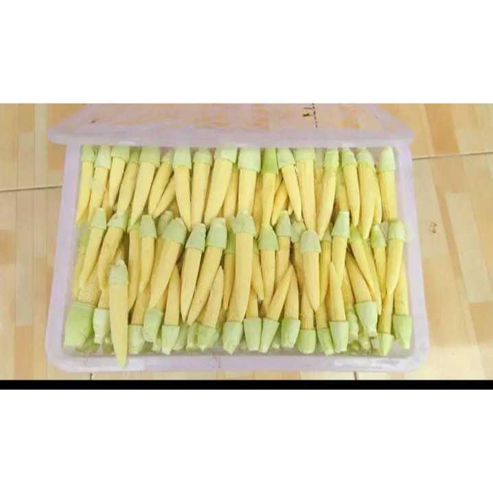 

Jagung baby futren 500gr anak jagung/jagung futren murah/anak jagung promo 250gram/jagung sayur