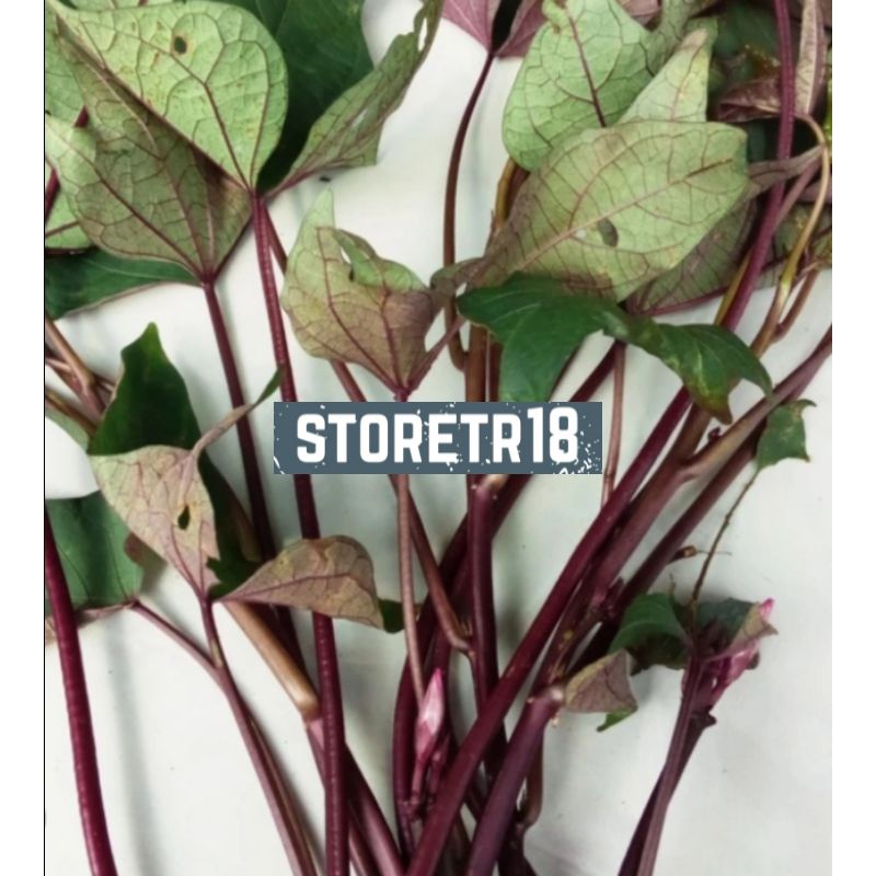 Bibit Ubi Ungu Bibit Ubi Jalar Ungu Per 1 Kg