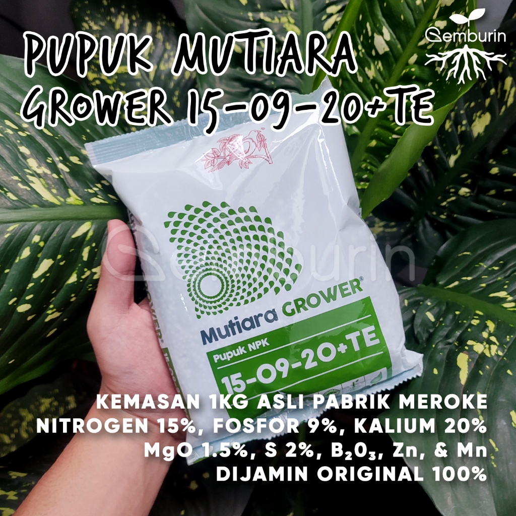 Pupuk NPK Mutiara Grower 15-09-20+TE Hijau 1 kg Kemasan ASLI PABRIK / Original Murah / Pupuk Padat K