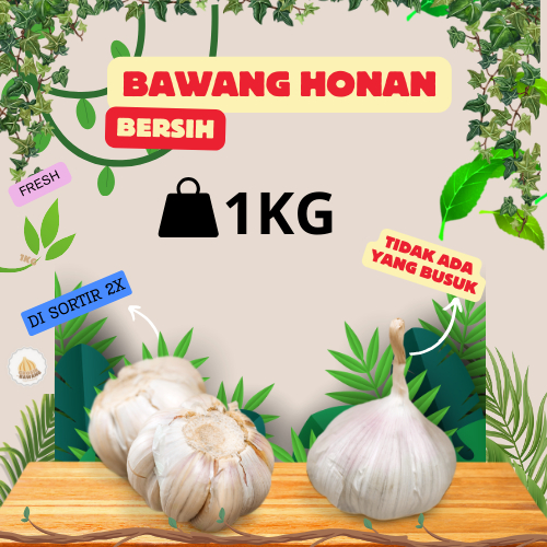 

Bawang Putih Banci Honan Bersih 1 Kg (tidak ada bongol tidak busuk)