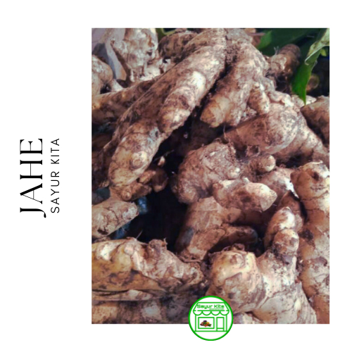 

Jahe 250 gram