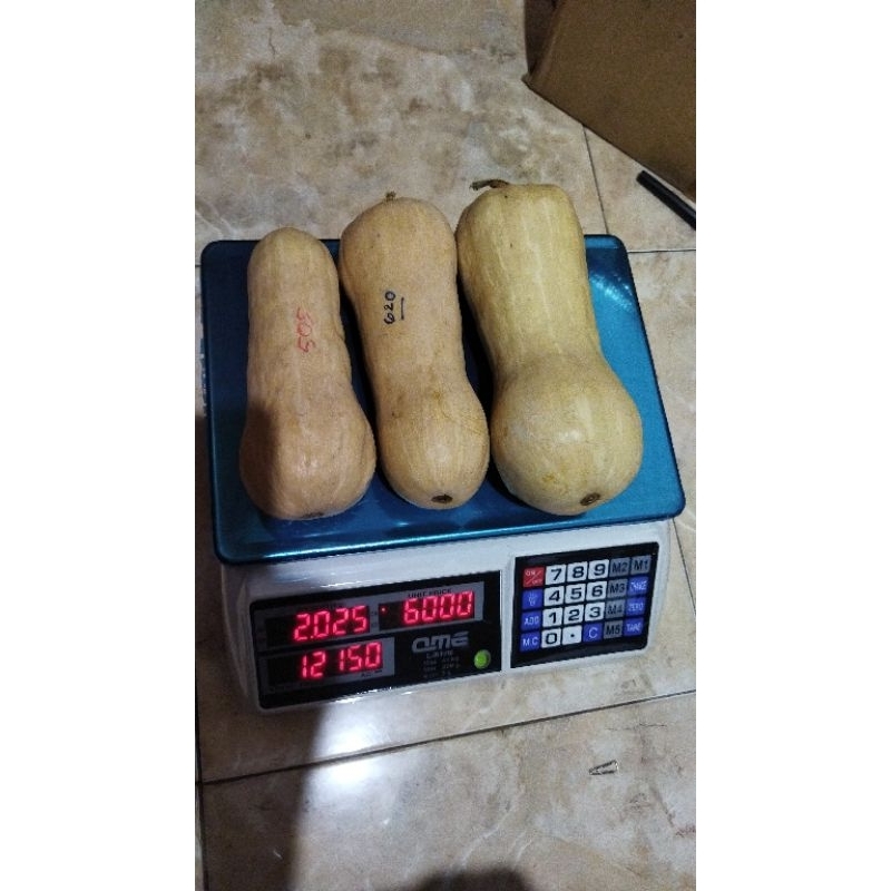 

Labu Madu