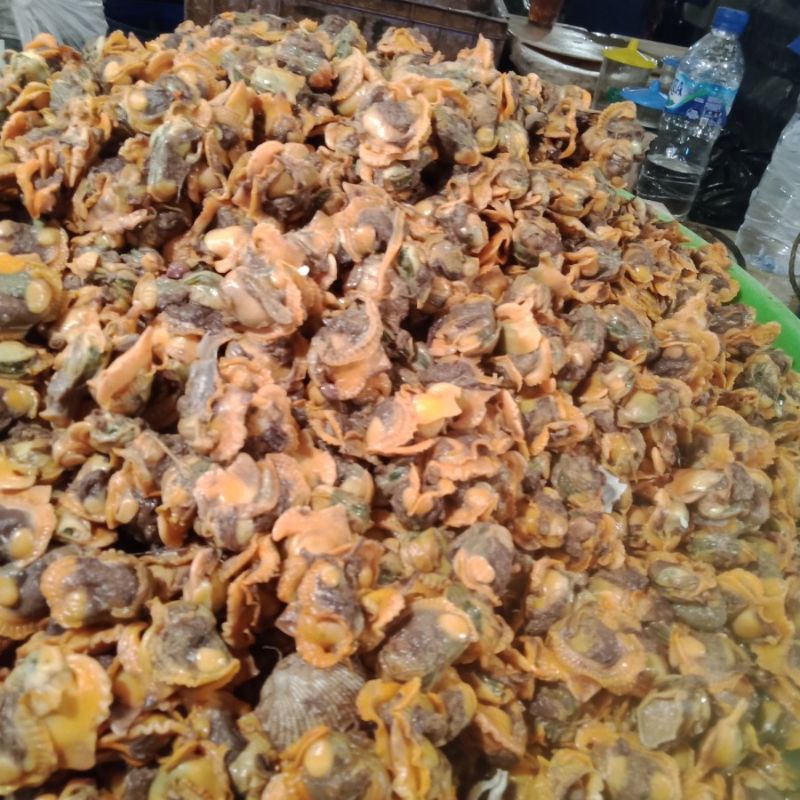 

Kerang Kupas / Daging Kerang Dara / Kerang Remis / Kerang Ijo / Kerang Tahu / Kerang Batik