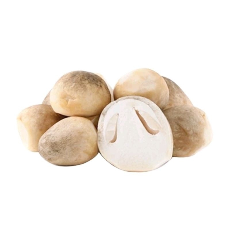 Jamur Merang / Jamur Bakmi / Jamur Mie ayam / Jamur merang Putih / Jamur Segar