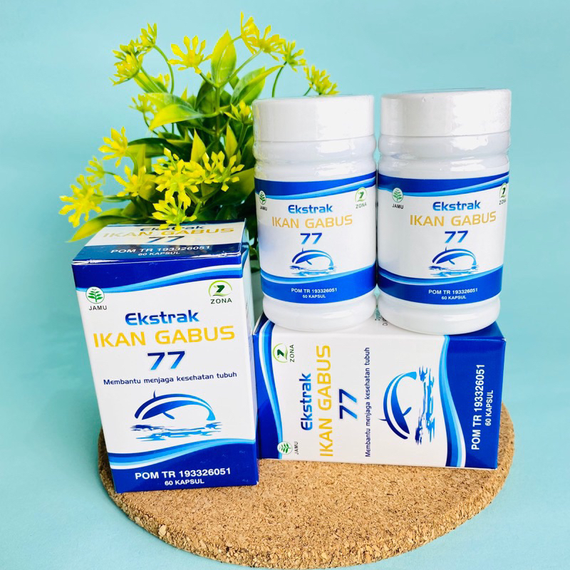 EKSTRAK IKAN GABUS 77